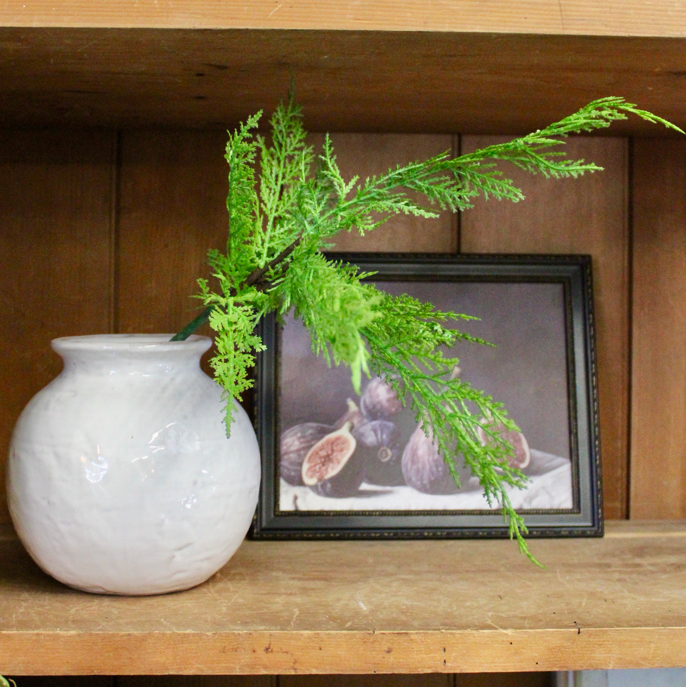 19” Western Cedar Spray