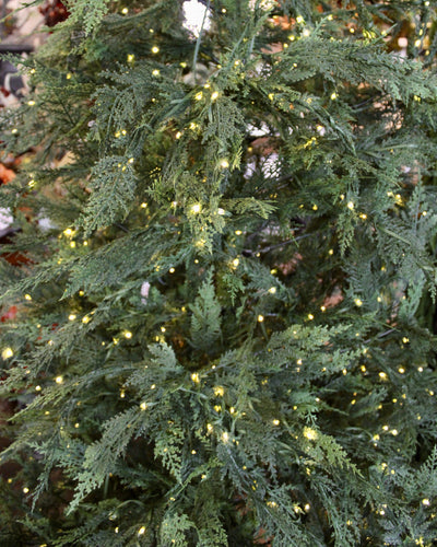 7.5’ Nature’s Touch B.C. Cedar Tree