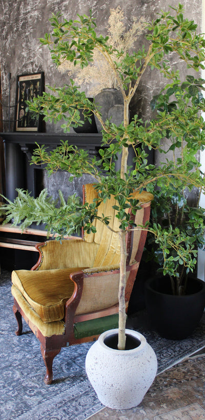 Curvy Tuscan Stone Pot