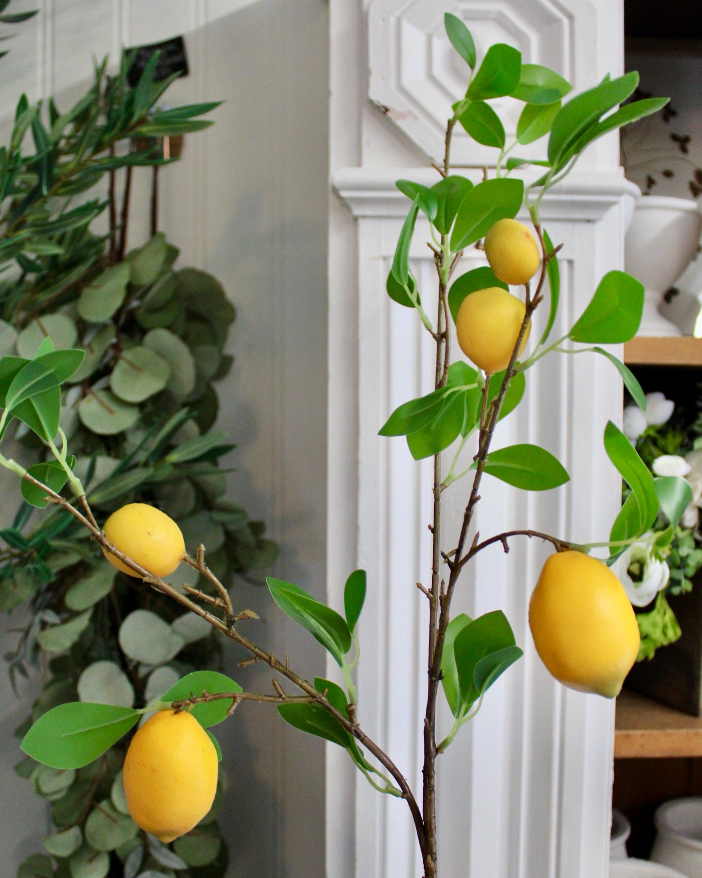 Lemon Branch