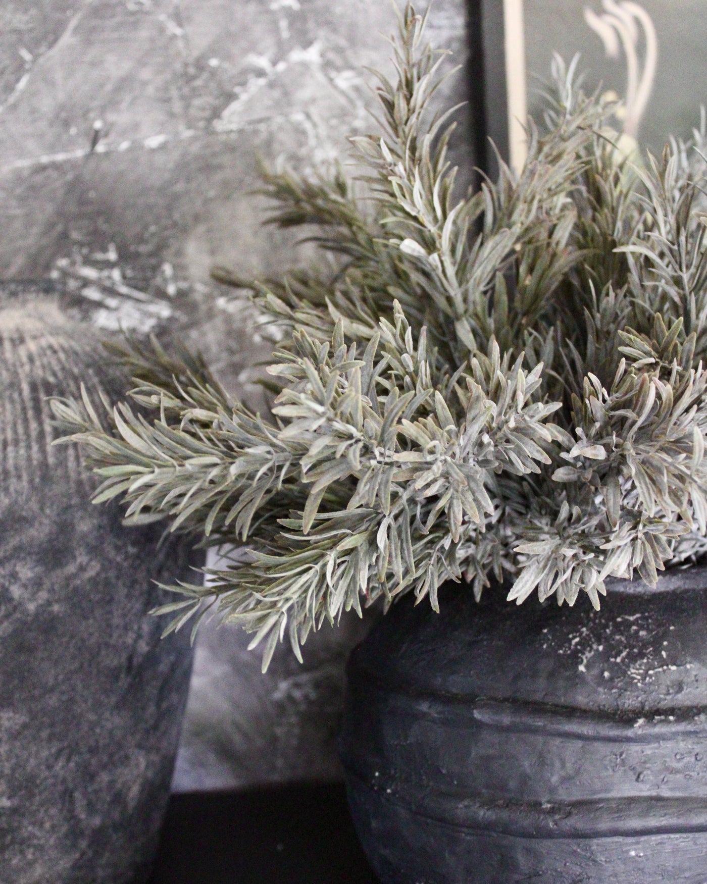 Rosemary “Drop-In”