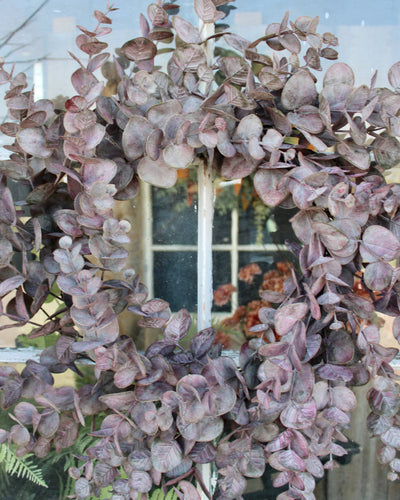 Burgundy Eucalyptus Wreath