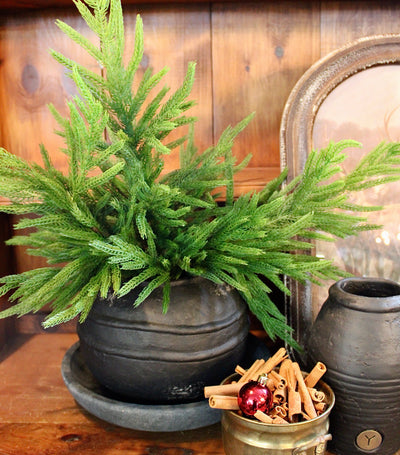 29” Fresh Touch Norfolk Pine Branch