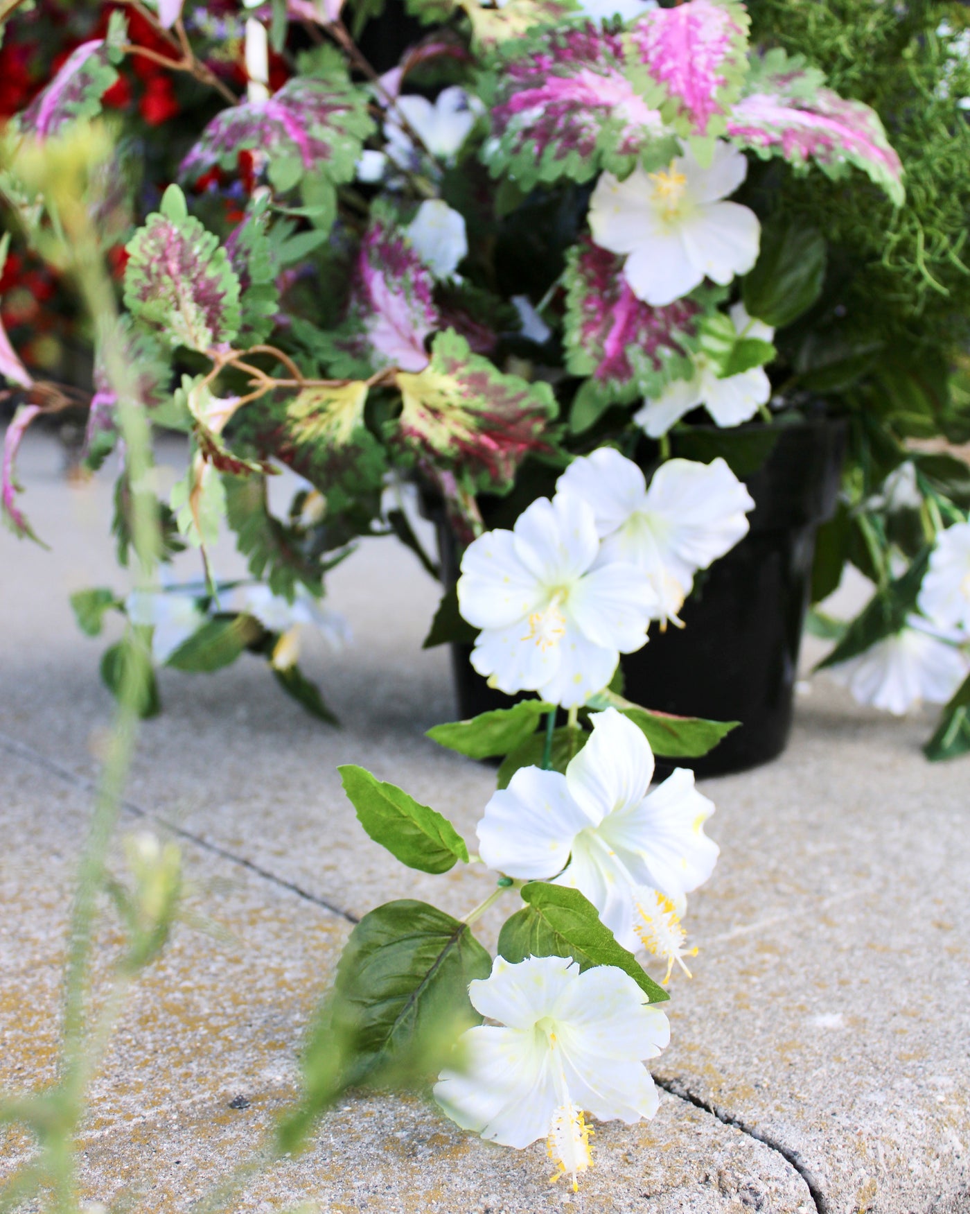 White Hibiscus & Coleus “Drop-In” Insert