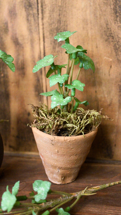 Mini Ivy Sprig