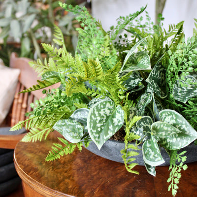 Mixed Fern & Pictus Centrepiece