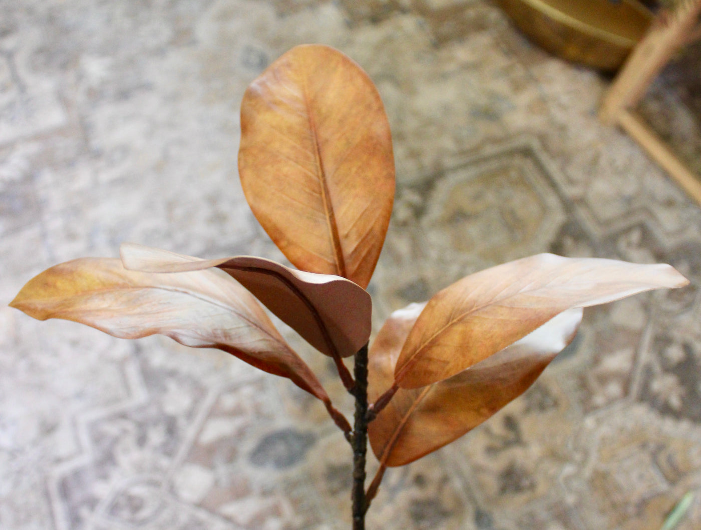 Brown Magnolia Spray