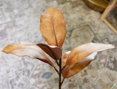Brown Magnolia Spray