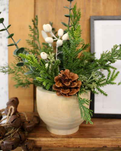 Potted Pine Cone & Cream Hypericum Arrangement