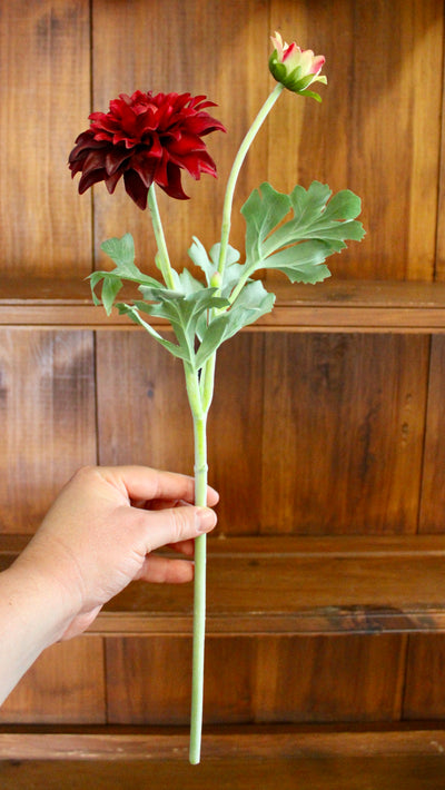 Burgundy Dahlia Spray
