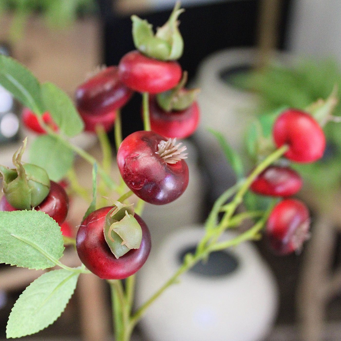 Rose Hip Branch
