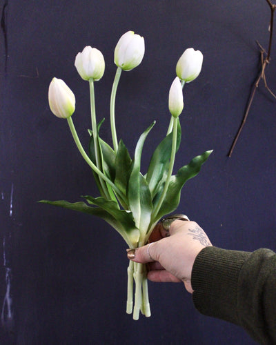 White Tulip Bundle (5 Stems)