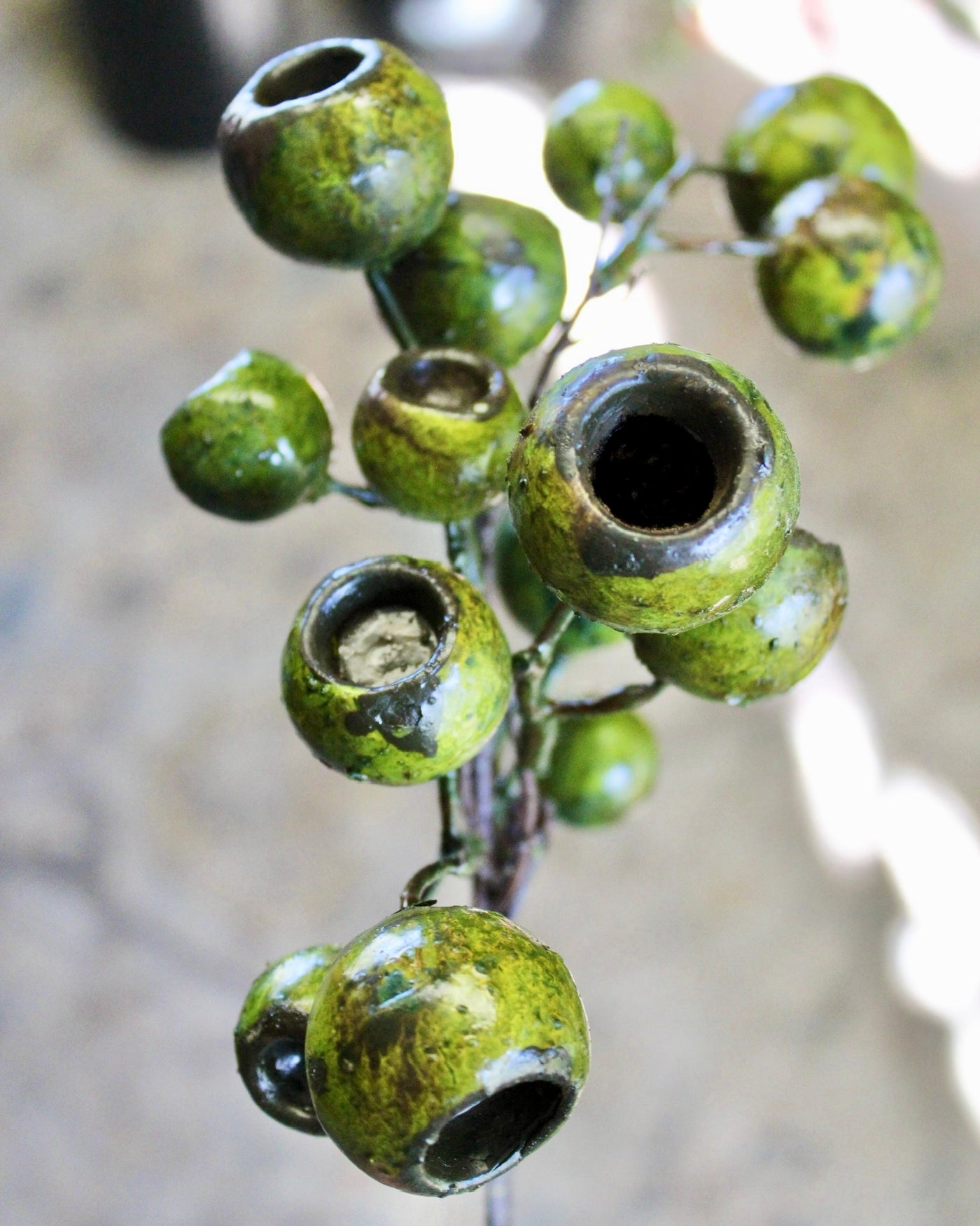 Lychee Pod Branch