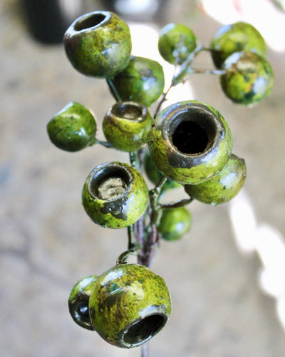 Lychee Pod Branch