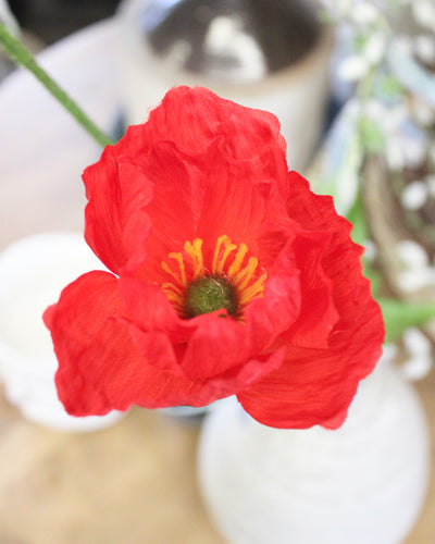 Red Poppy Stem