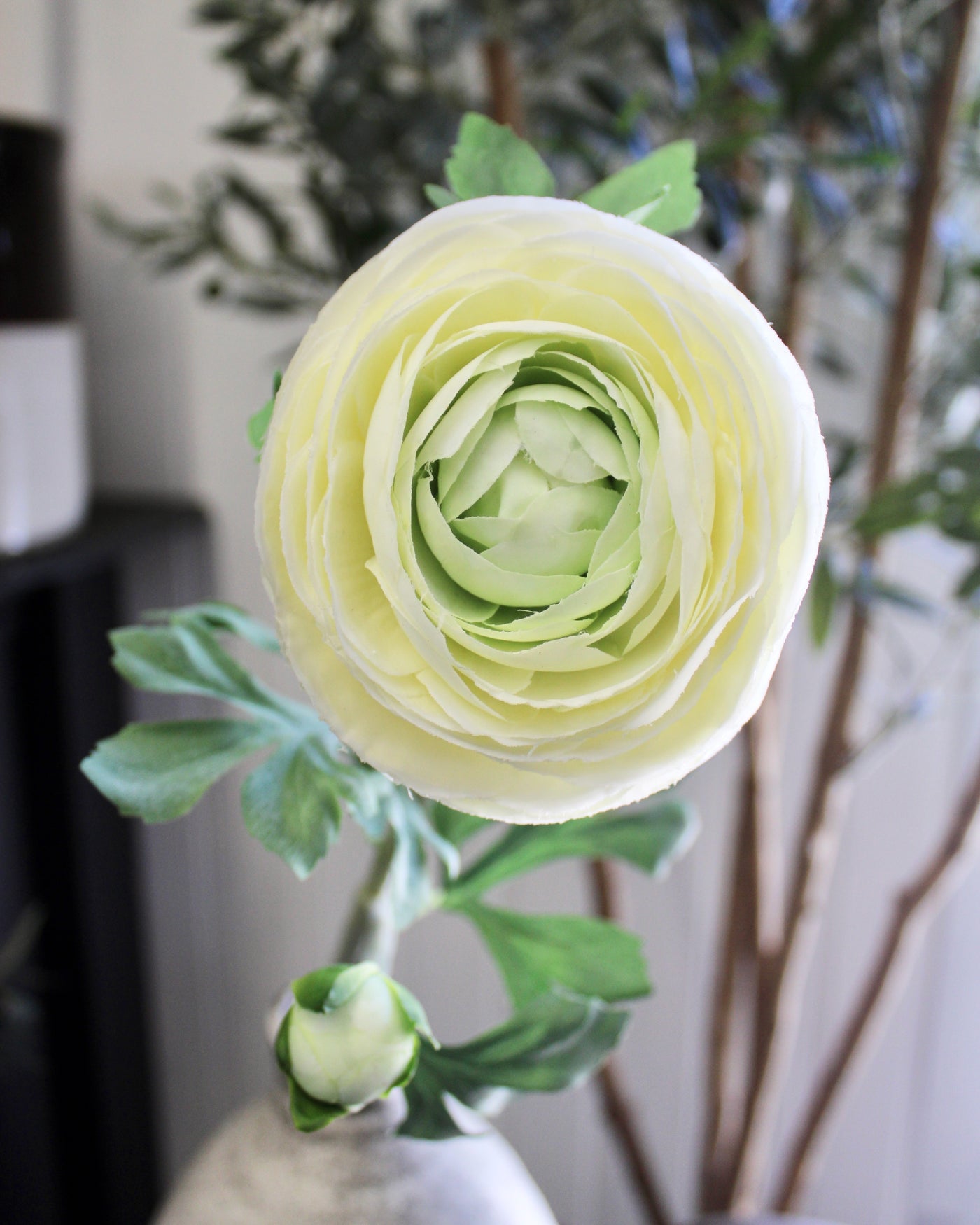 Cream Ranunculus Stem