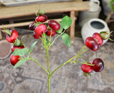 Rose Hip Branch