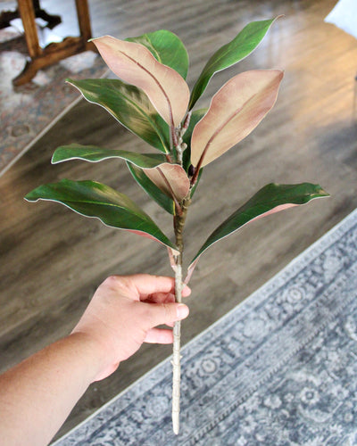 Magnolia Spray