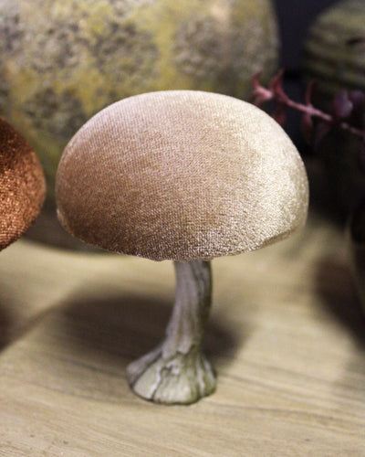 Velvet Mushrooms