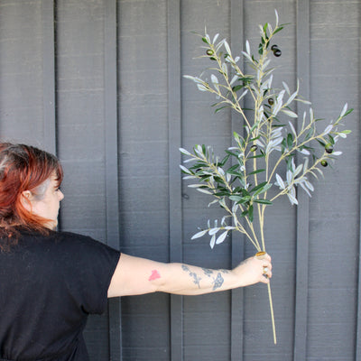 Olive Spray