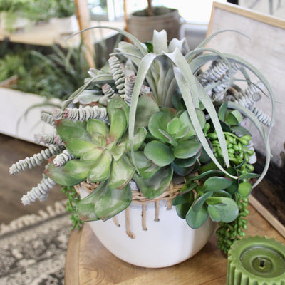 Air Plant & Triple Jade Mixed Succulent Arrangement