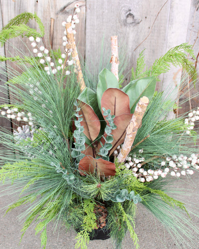 Birch & Berry “Drop-In” Arrangement