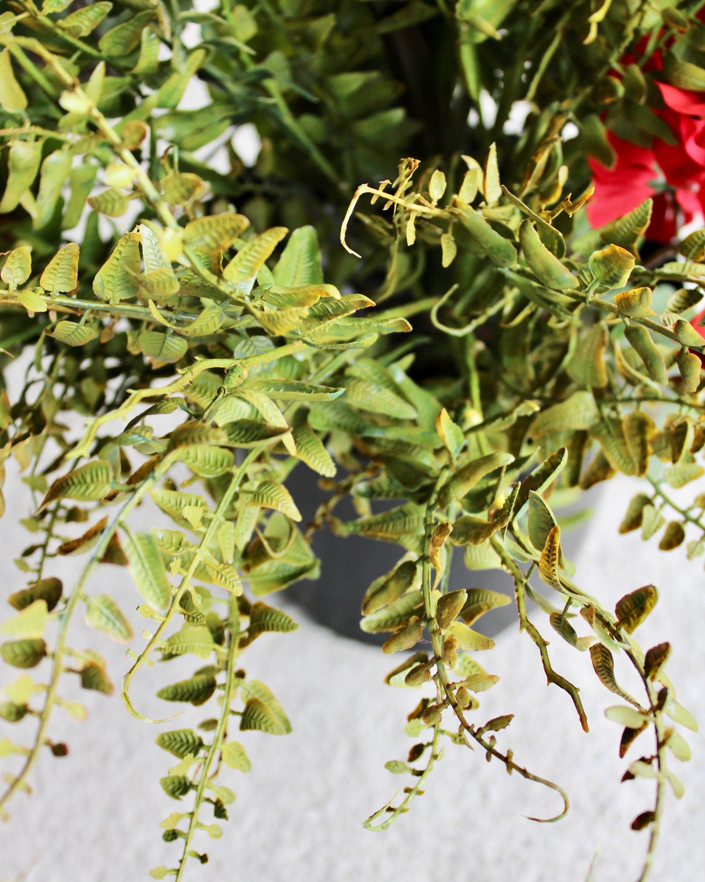 Red Geranium, Sweet Veronica & Fern “Drop-In” Insert