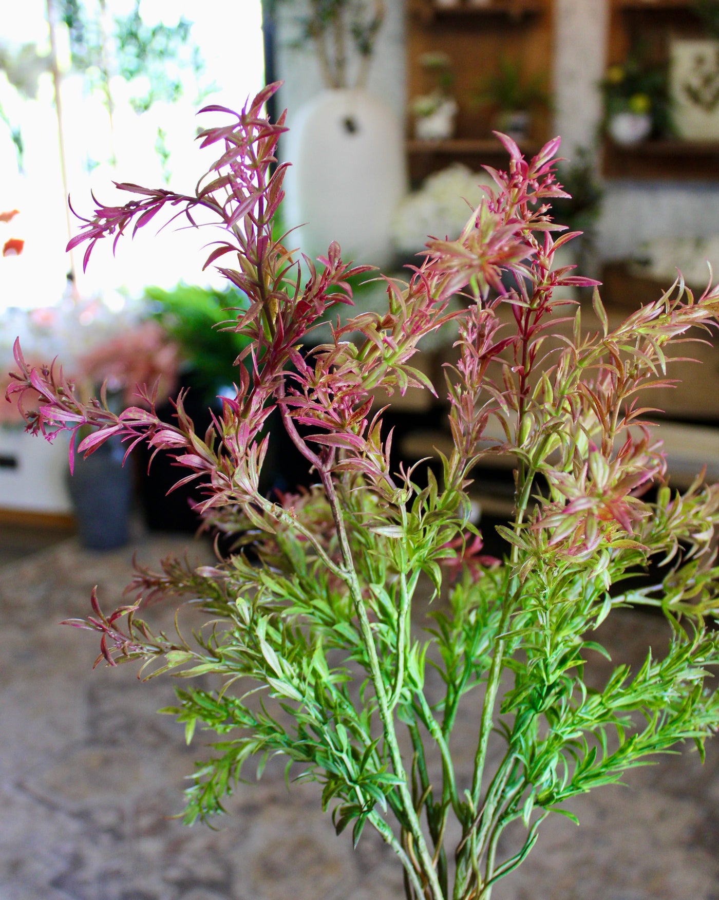 Burgundy & Green Sage Bush
