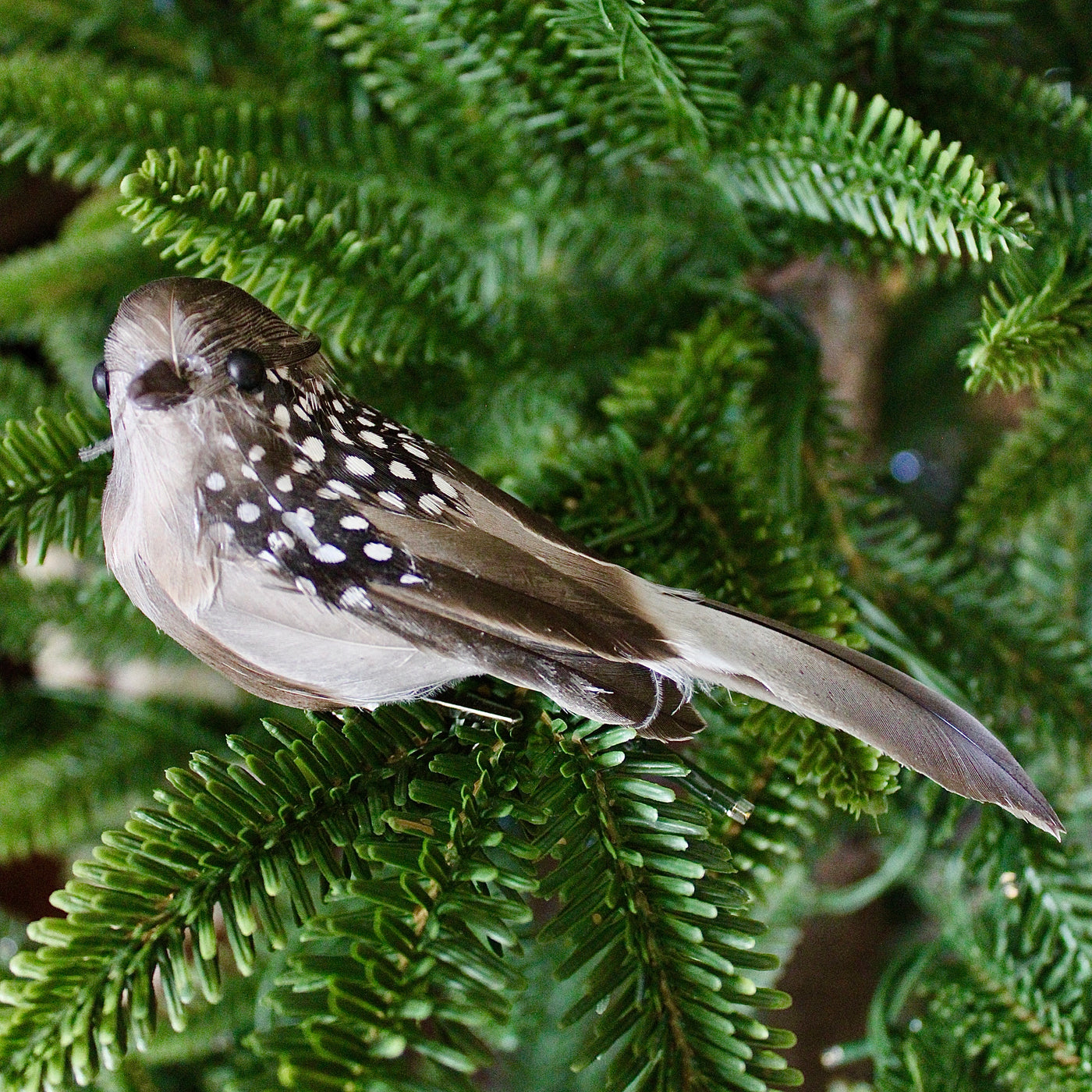 Long Tail Bird Ornaments