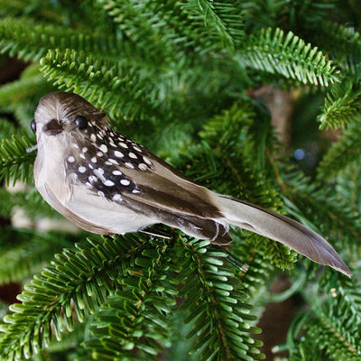 Long Tail Bird Ornaments