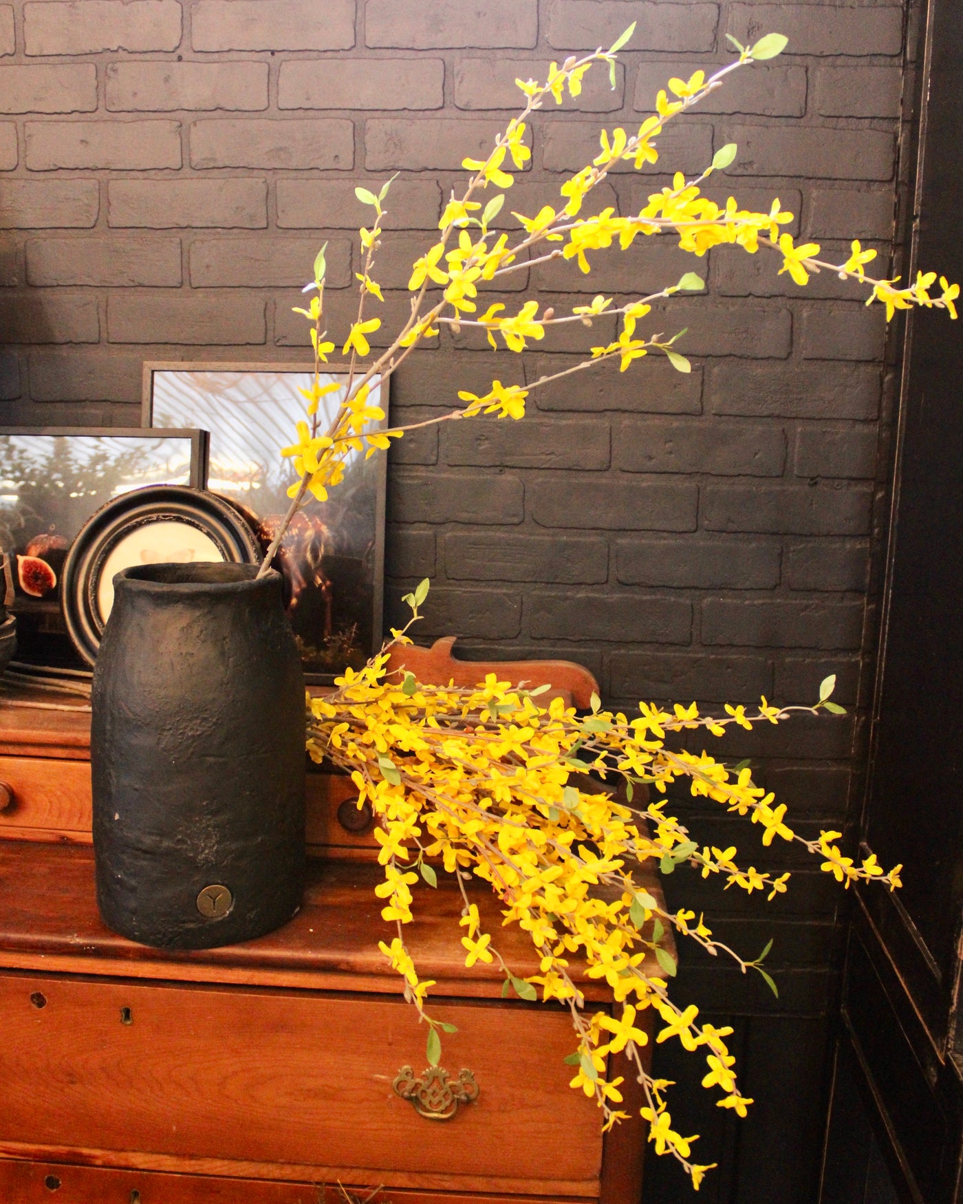 Forsythia Branch