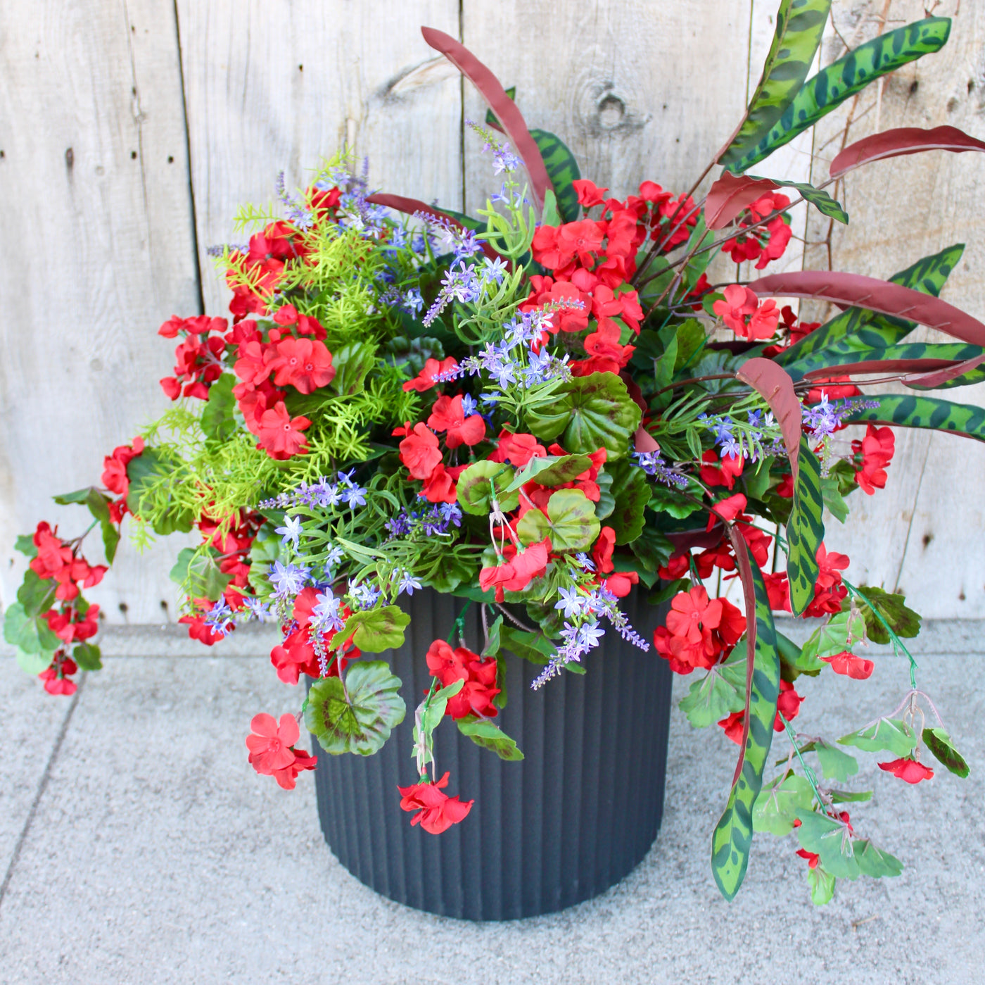 Hanging Basket/Drop-In Red