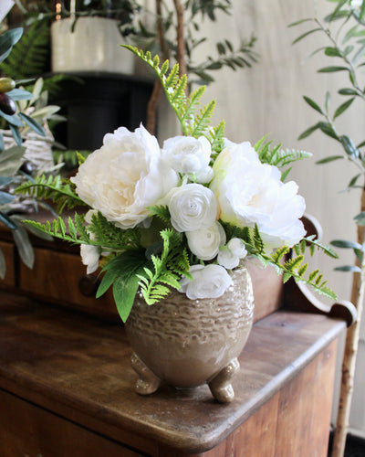 Potted Peony & Ranunculus Arrangement