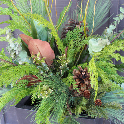 Outdoor Winter Drop-In