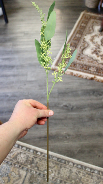 Seeded Eucalyptus