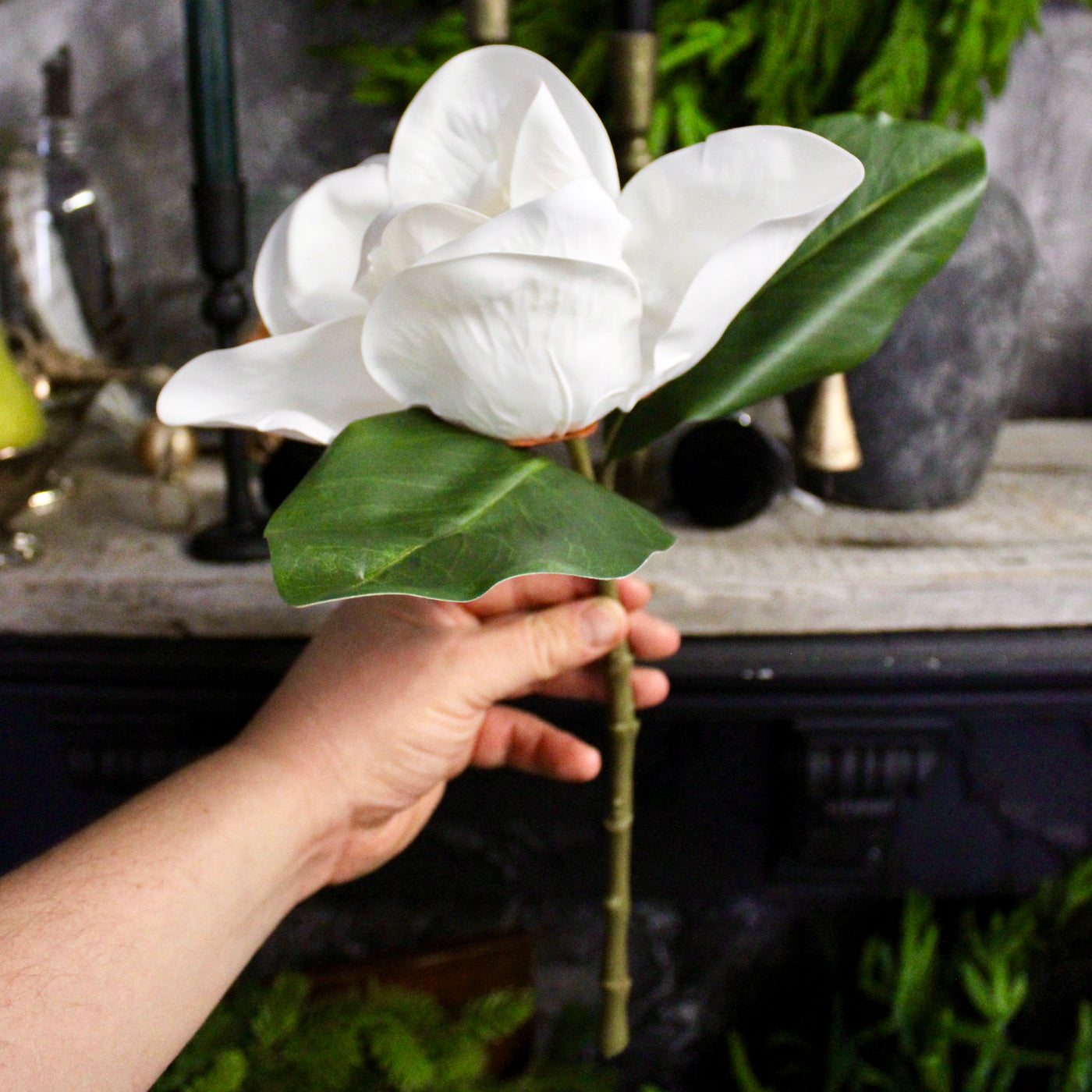 Magnolia Flower Branch