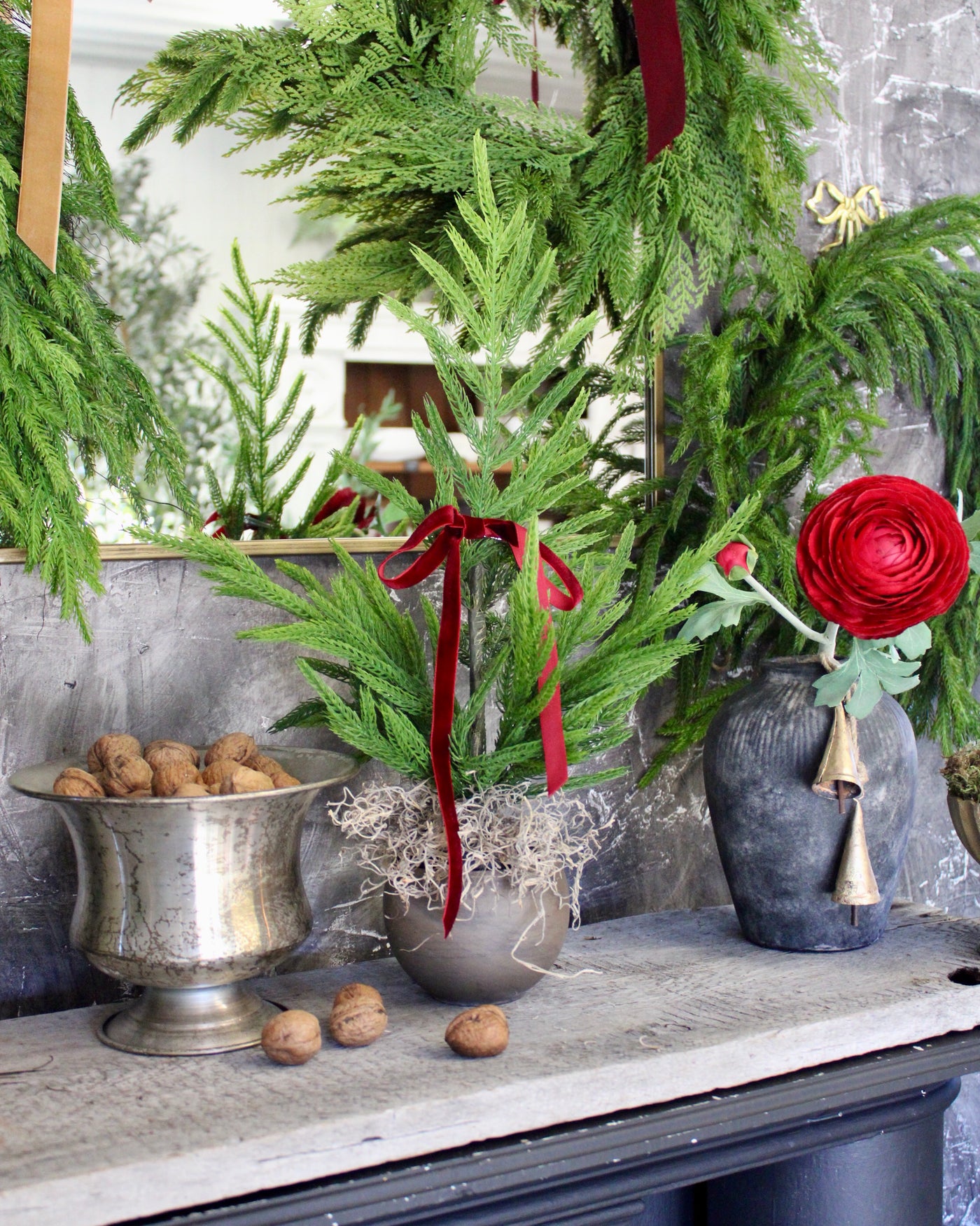 19” Fresh Touch Norfolk Pine Tree