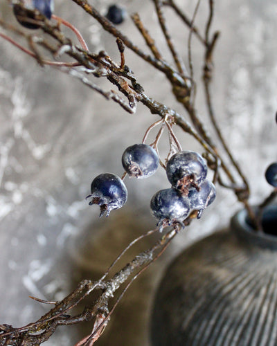 Blueberry Branch