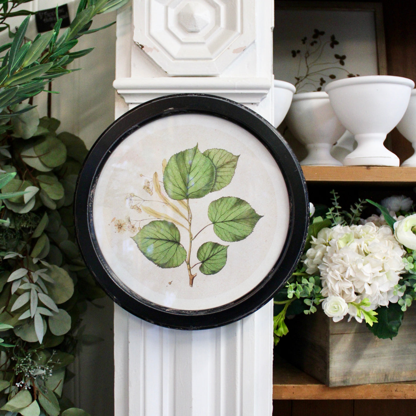 Round Frame Botanical Prints