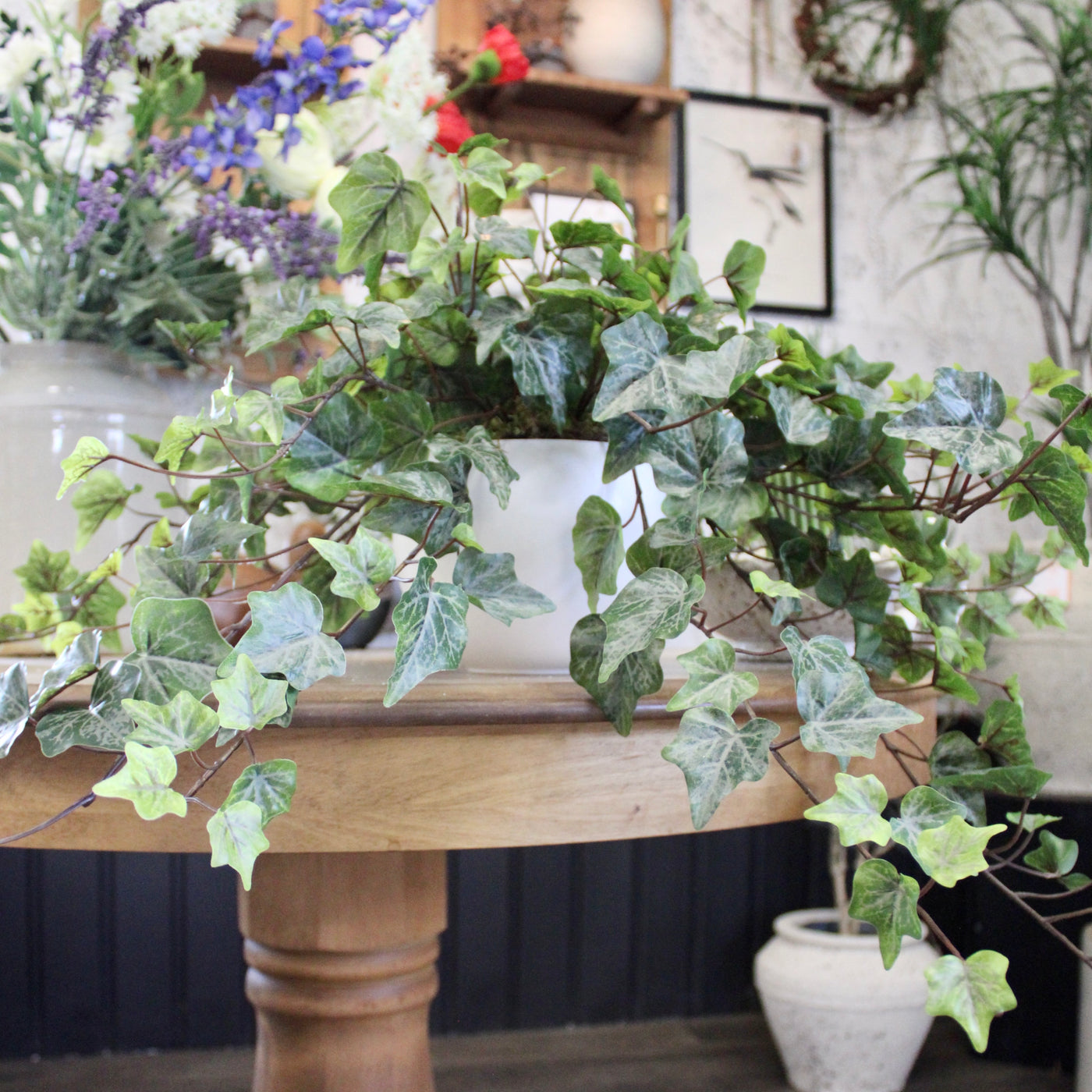 Potted Frosted Green Ivy Bushes