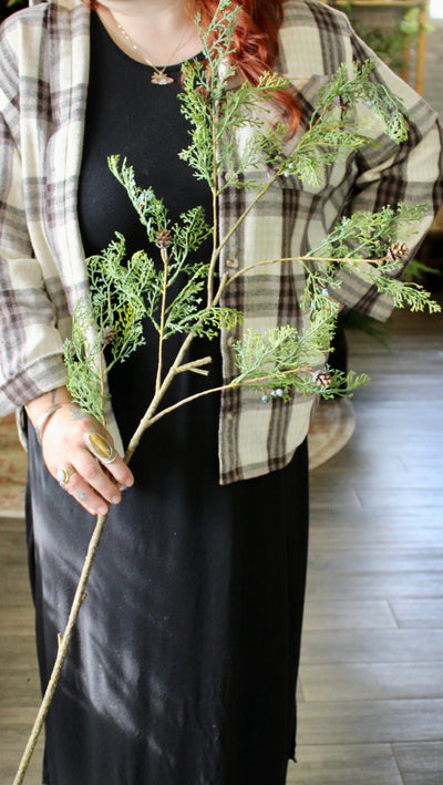 Creeping Cedar Spray