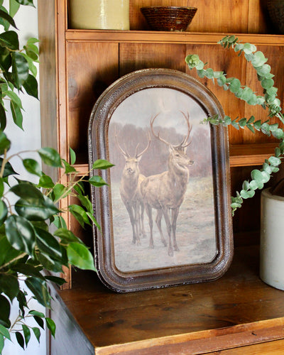 Arched Frame Stag Paintings
