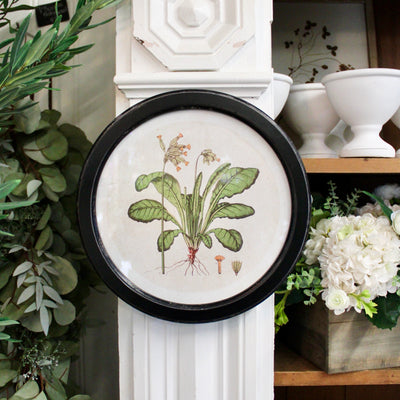 Round Frame Botanical Prints