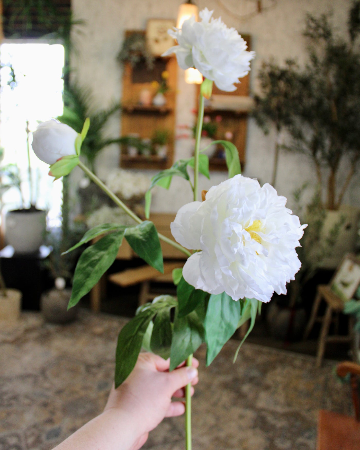 White Peony Spray