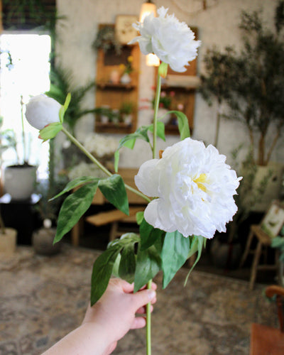 White Peony Spray