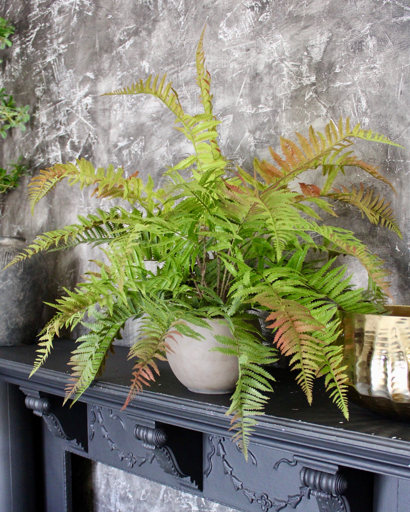 Green & Red Lady Fern Bush
