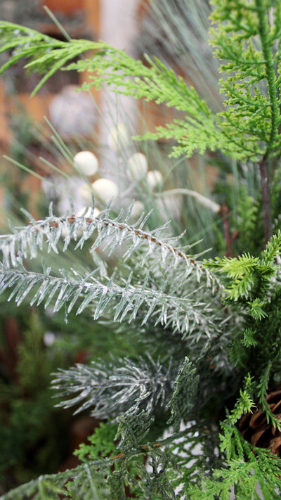 Cedar & Pine “Drop-In” Arrangement