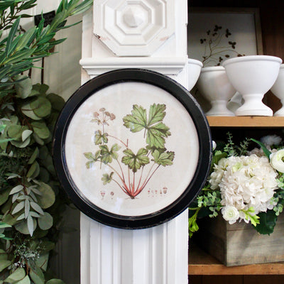 Round Frame Botanical Prints