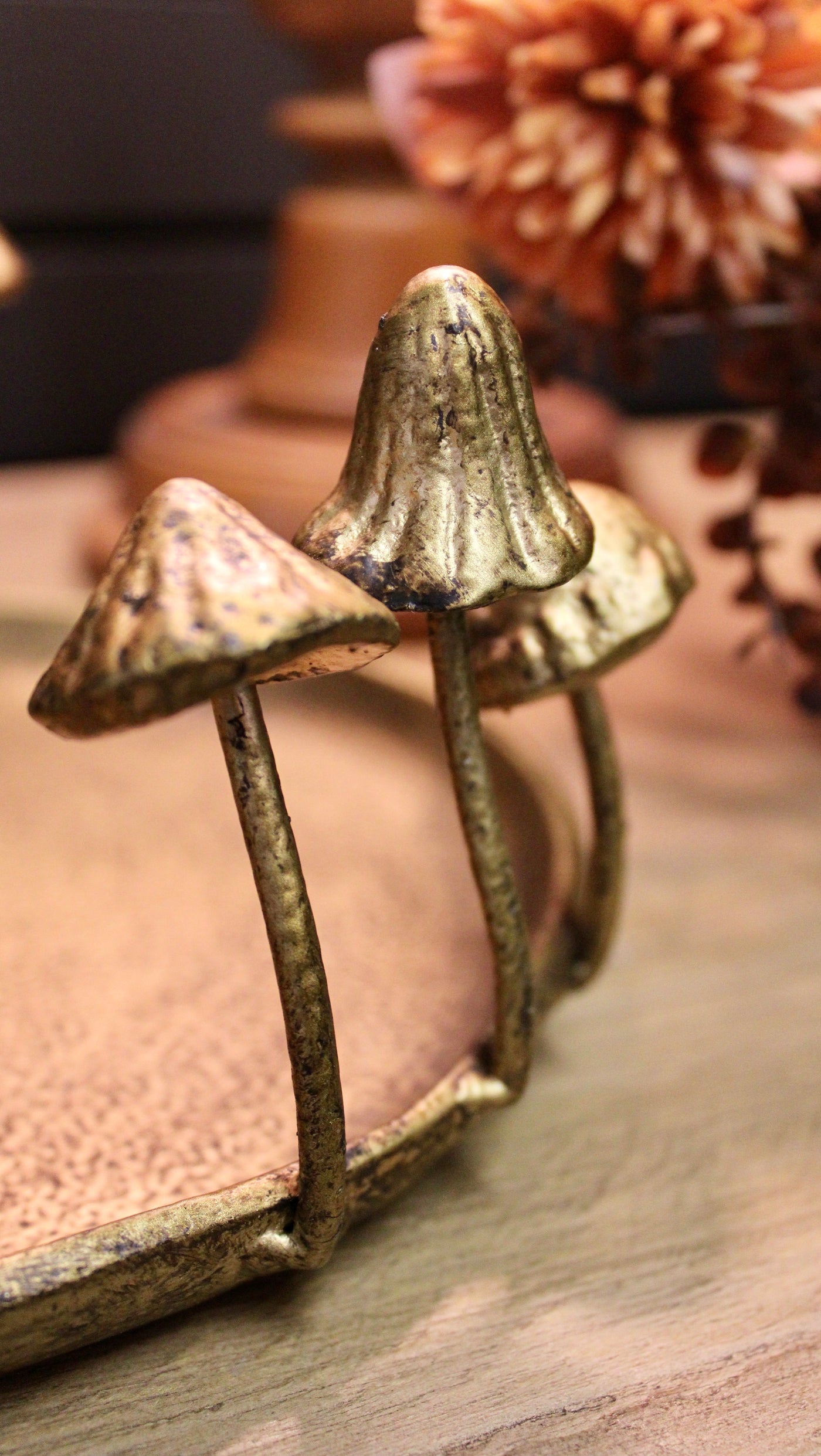 Cast Iron Mushroom Tray