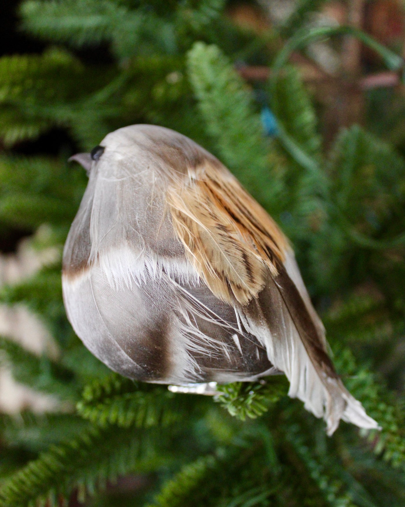 Plump Bird Ornaments